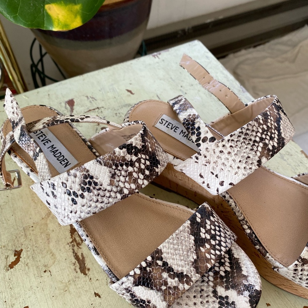 Steve Madden Snake Platform - image 2